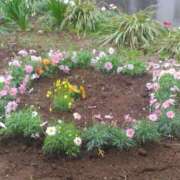 ヒメ日記 2026/03/26 10:26 投稿 ちあき ぽっちゃり熟女 ～バカラ～