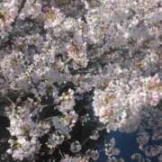 ヒメ日記 2026/04/04 09:46 投稿 ちあき ぽっちゃり熟女 ～バカラ～