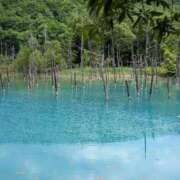 ヒメ日記 2025/06/21 20:41 投稿 りか 熟女家 東大阪店（布施・長田）