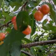 ヒメ日記 2025/06/26 21:25 投稿 りか 熟女家 東大阪店（布施・長田）