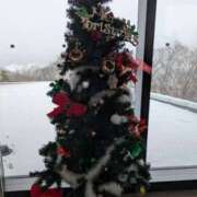 ヒメ日記 2025/11/27 08:05 投稿 りか 熟女家 東大阪店（布施・長田）