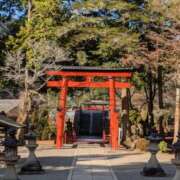 ヒメ日記 2025/12/31 08:45 投稿 りか 熟女家 東大阪店（布施・長田）