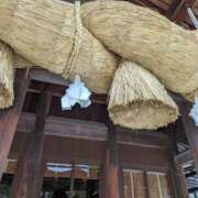 ヒメ日記 2026/01/01 10:25 投稿 りか 熟女家 東大阪店（布施・長田）