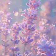 ヒメ日記 2026/03/09 11:05 投稿 りか 熟女家 東大阪店（布施・長田）