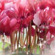 ヒメ日記 2025/01/02 08:10 投稿 あずま 大和人妻城