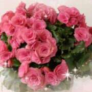 ヒメ日記 2025/01/31 16:55 投稿 あずま 大和人妻城