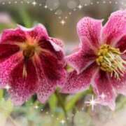 ヒメ日記 2025/02/01 14:53 投稿 あずま 大和人妻城