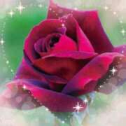 ヒメ日記 2025/03/27 16:56 投稿 あずま 大和人妻城