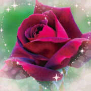 ヒメ日記 2025/05/30 16:57 投稿 あずま 大和人妻城