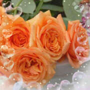 ヒメ日記 2025/05/31 12:29 投稿 あずま 大和人妻城