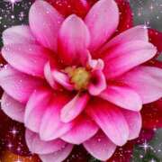 ヒメ日記 2025/07/12 14:50 投稿 あずま 大和人妻城