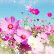 ヒメ日記 2025/07/25 14:08 投稿 あずま 大和人妻城