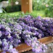 ヒメ日記 2025/08/03 12:07 投稿 あずま 大和人妻城