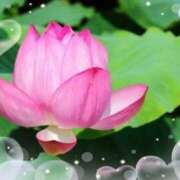 ヒメ日記 2025/08/23 14:43 投稿 あずま 大和人妻城