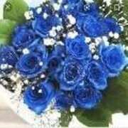 あずま 出勤します♪ 大和人妻城