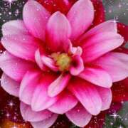 ヒメ日記 2025/12/19 14:15 投稿 あずま 大和人妻城