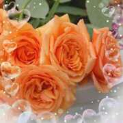 ヒメ日記 2026/04/20 09:34 投稿 あずま 大和人妻城