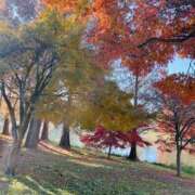 ヒメ日記 2024/12/20 08:30 投稿 りこ 熟女の風俗最終章 宇都宮店