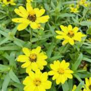 ヒメ日記 2024/12/21 08:30 投稿 りこ 熟女の風俗最終章 宇都宮店