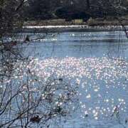 ヒメ日記 2024/12/24 07:41 投稿 りこ 熟女の風俗最終章 宇都宮店