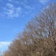 ヒメ日記 2025/01/17 08:31 投稿 りこ 熟女の風俗最終章 宇都宮店