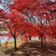 ヒメ日記 2025/01/24 08:10 投稿 りこ 熟女の風俗最終章 宇都宮店