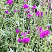 ヒメ日記 2025/02/16 07:53 投稿 りこ 熟女の風俗最終章 宇都宮店