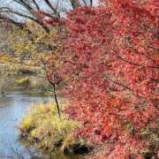 ヒメ日記 2025/02/23 08:11 投稿 りこ 熟女の風俗最終章 宇都宮店