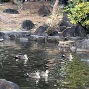 ヒメ日記 2025/03/20 08:11 投稿 りこ 熟女の風俗最終章 宇都宮店