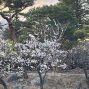 ヒメ日記 2025/03/21 08:18 投稿 りこ 熟女の風俗最終章 宇都宮店