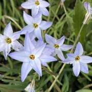 ヒメ日記 2025/04/05 08:41 投稿 りこ 熟女の風俗最終章 宇都宮店