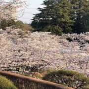 ヒメ日記 2025/04/13 08:12 投稿 りこ 熟女の風俗最終章 宇都宮店