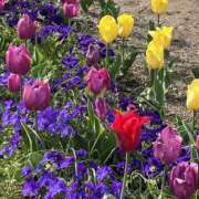 ヒメ日記 2025/04/19 08:21 投稿 りこ 熟女の風俗最終章 宇都宮店