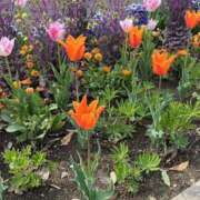 ヒメ日記 2025/04/26 09:03 投稿 りこ 熟女の風俗最終章 宇都宮店