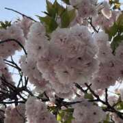 ヒメ日記 2025/05/01 09:02 投稿 りこ 熟女の風俗最終章 宇都宮店