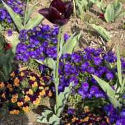 ヒメ日記 2025/05/02 08:11 投稿 りこ 熟女の風俗最終章 宇都宮店