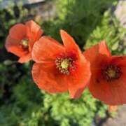 ヒメ日記 2025/05/03 07:01 投稿 りこ 熟女の風俗最終章 宇都宮店