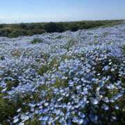 ヒメ日記 2025/05/09 08:21 投稿 りこ 熟女の風俗最終章 宇都宮店