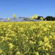 ヒメ日記 2025/05/10 07:11 投稿 りこ 熟女の風俗最終章 宇都宮店