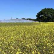 ヒメ日記 2025/05/26 08:01 投稿 りこ 熟女の風俗最終章 宇都宮店