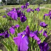 ヒメ日記 2025/06/04 09:03 投稿 りこ 熟女の風俗最終章 宇都宮店