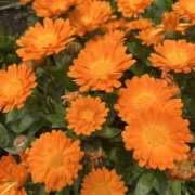 ヒメ日記 2025/06/09 21:32 投稿 りこ 熟女の風俗最終章 宇都宮店