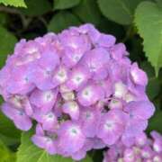 ヒメ日記 2025/06/13 08:23 投稿 りこ 熟女の風俗最終章 宇都宮店