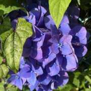 ヒメ日記 2025/06/17 08:11 投稿 りこ 熟女の風俗最終章 宇都宮店