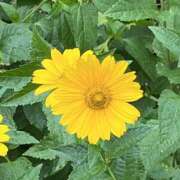 ヒメ日記 2025/06/26 07:51 投稿 りこ 熟女の風俗最終章 宇都宮店