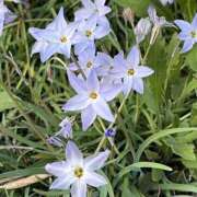 ヒメ日記 2025/07/12 08:41 投稿 りこ 熟女の風俗最終章 宇都宮店