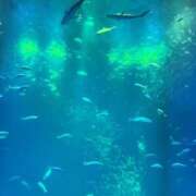 ヒメ日記 2025/07/19 08:11 投稿 りこ 熟女の風俗最終章 宇都宮店