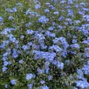 ヒメ日記 2025/07/26 06:51 投稿 りこ 熟女の風俗最終章 宇都宮店