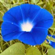 ヒメ日記 2025/07/27 08:31 投稿 りこ 熟女の風俗最終章 宇都宮店