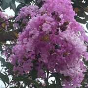 ヒメ日記 2025/08/02 07:41 投稿 りこ 熟女の風俗最終章 宇都宮店